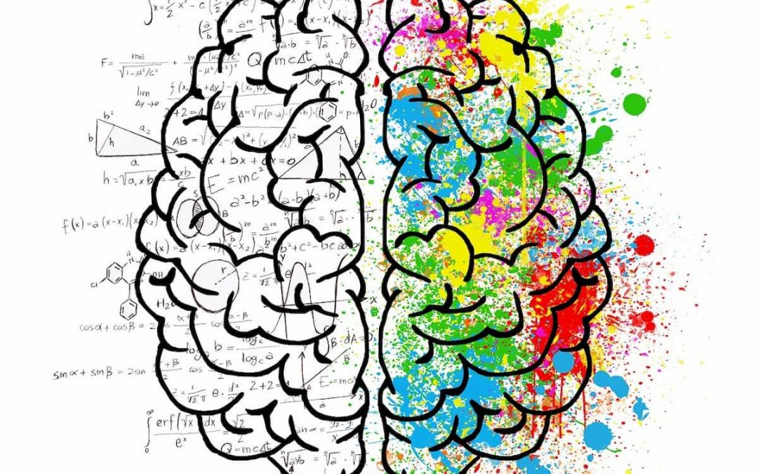Left Brain Right Brain: What About the Whole Brain?